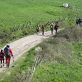 Pto Los Tornos-Lanestosa (208)